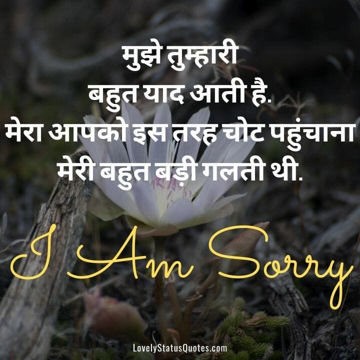 Sorry Status for Love in Hindi, plz mujhe maaf kar do pic