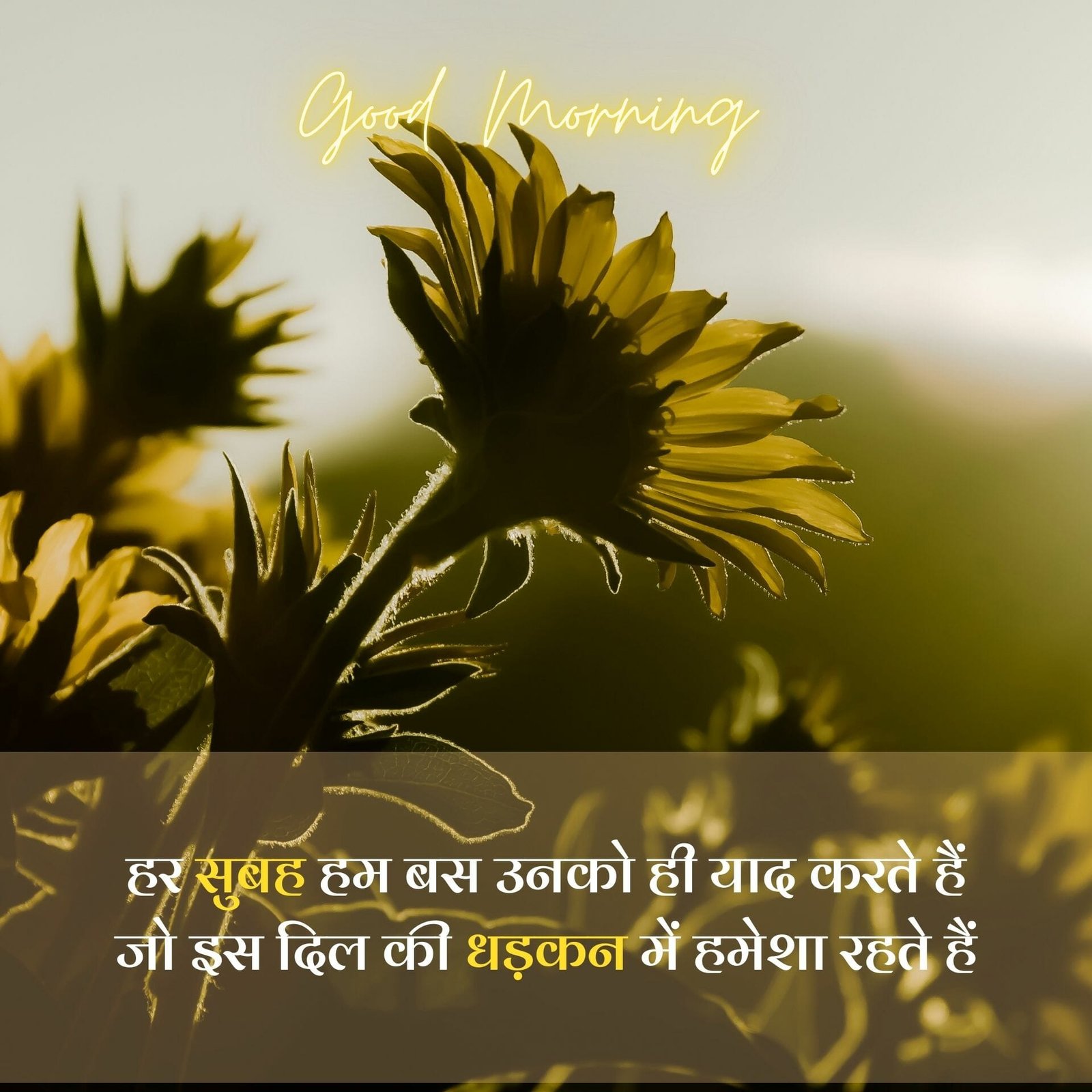 beautiful good morning image in hindi