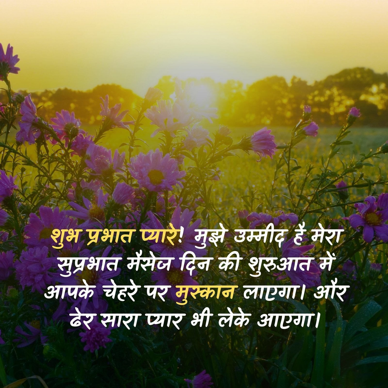 beautiful good morning image in hindi with shayari