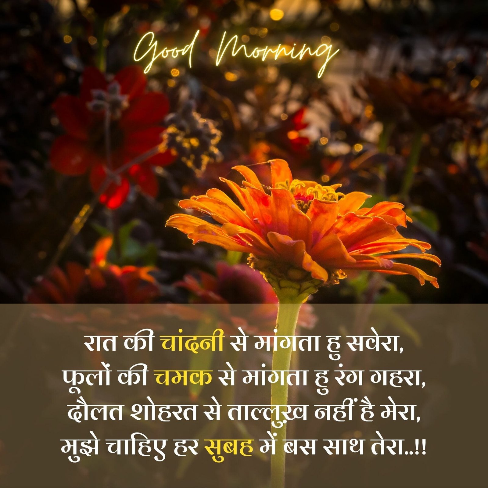 Good Morning Image in hindi for Whatsapp