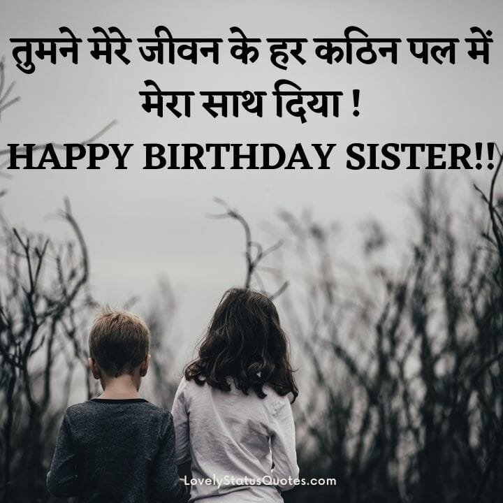 Birthday wishes for sister in hindi