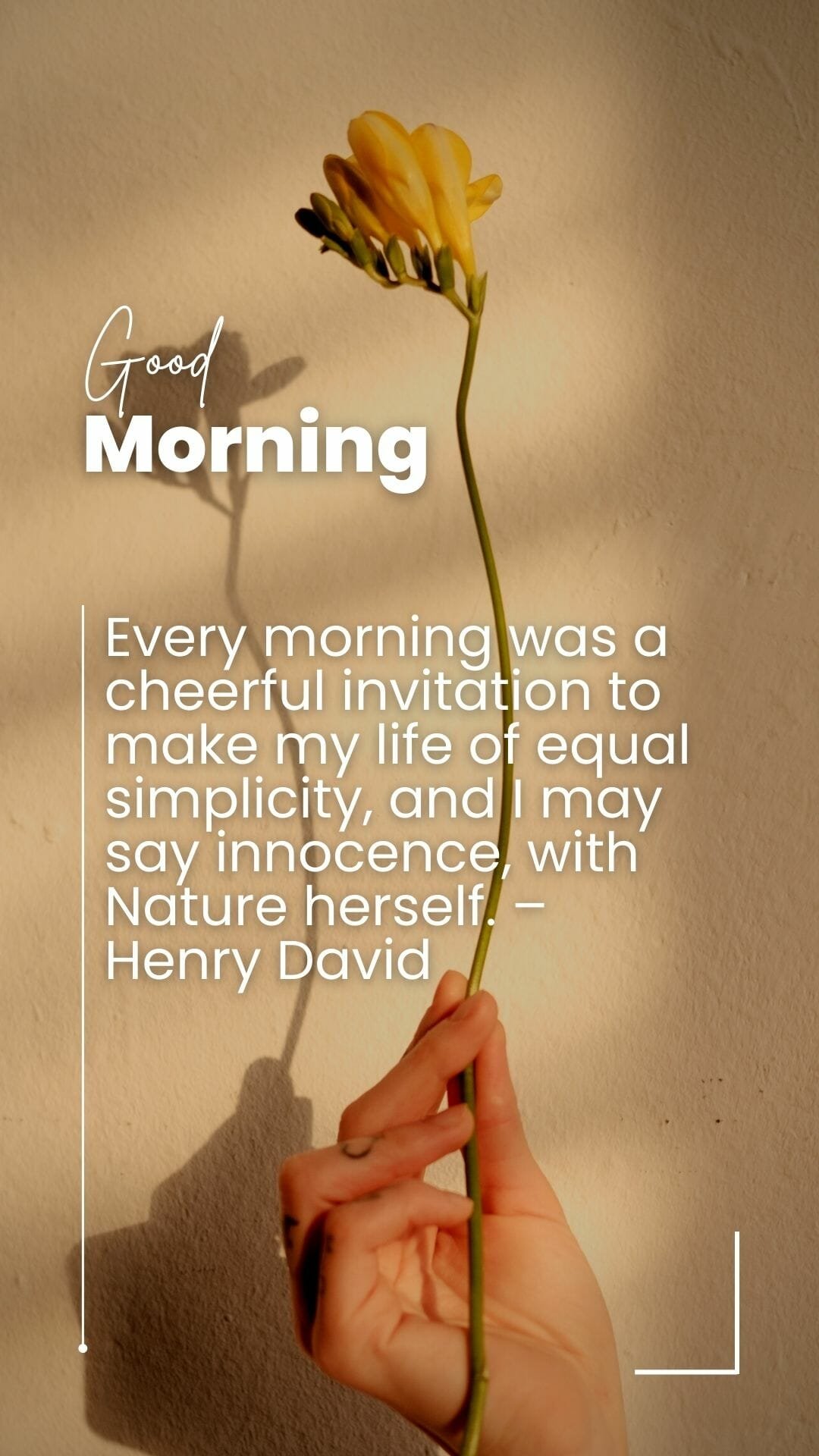 Good Morning messages for Instagram Story