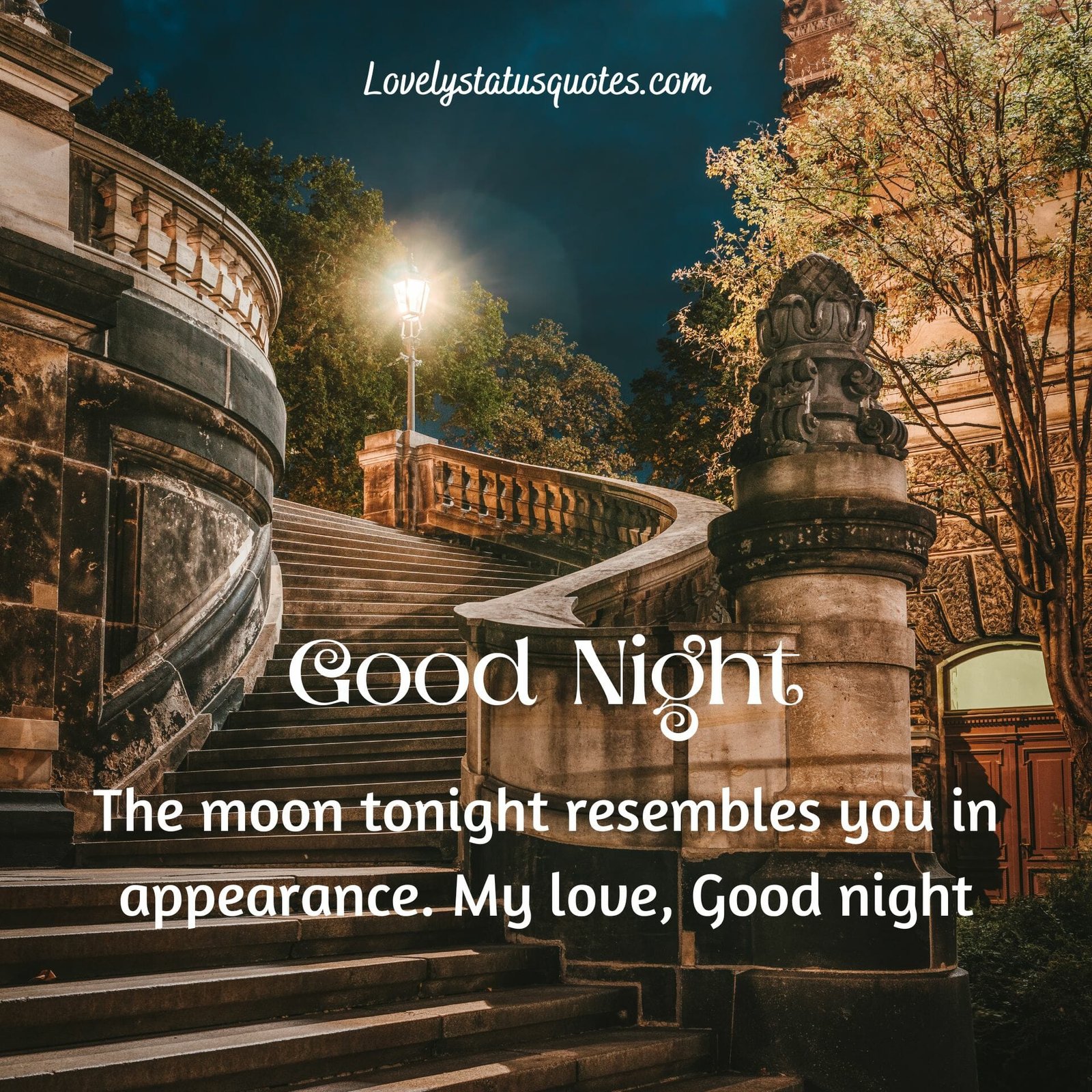 Good night whatsapp status.The moon tonight resembles you in appearance. My love, Good night