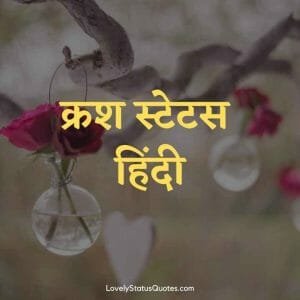 Crush Status In Hindi क रश स ट टस ह द म Lovely Status Quotes